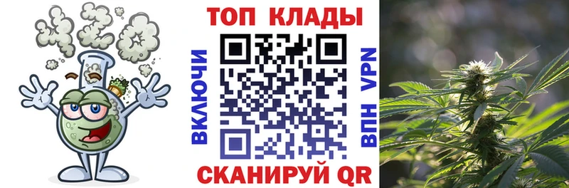 Как найти наркотики Гаврилов Посад Канабис  Кокаин  СОЛЬ  МЕФ  ГАШИШ 